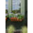Cohen Window Box Planter