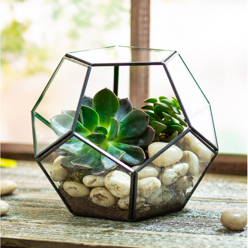Terrarium en verre Providence, Noir
