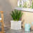 PLANTER