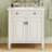 Bathroom Vanity with Sink, Soft Close Doors and Adjustable Shelf-2142417111
