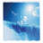 Shower Curtain with Hooks Included-94637803