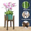 Cameca Plant Stand