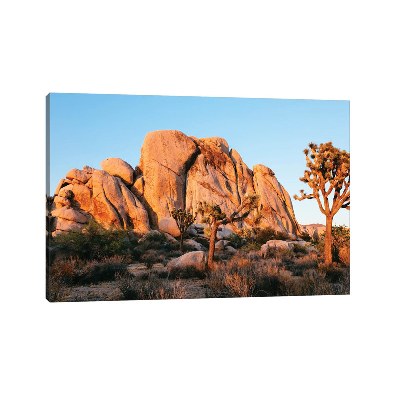 Sunset At Joshua Tree National Park, California by Matteo Colombo - Wrapped Canvas Print, 30.48 cm H x 45.72 cm W