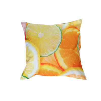 Outdoor Throw Pillow