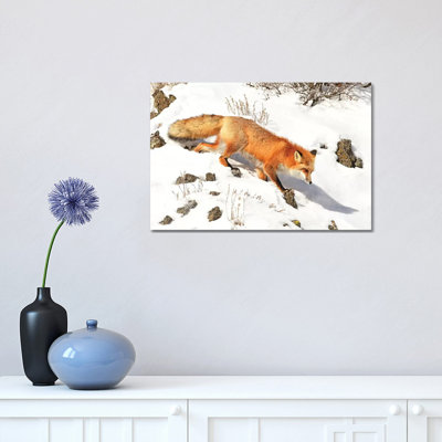 Winter Fox by Brian Wolf - Wrapped Canvas Print