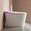 ENER-J 1L LPF Elongated Wall Hung Toilets