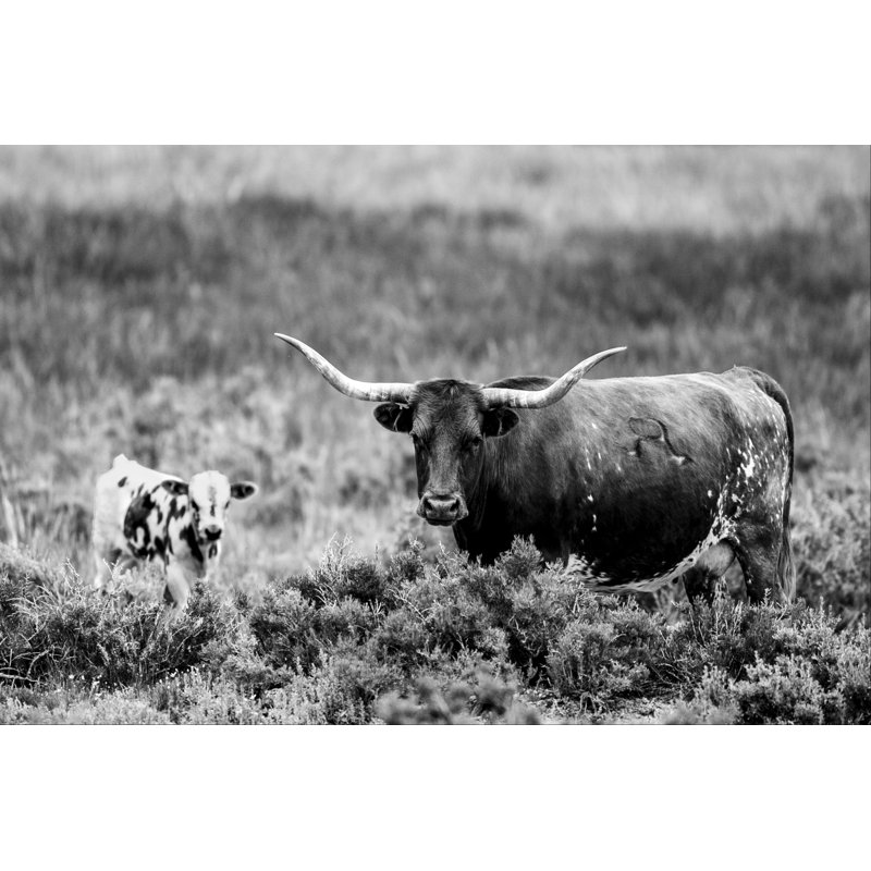 B&W Longhorn II - Painting, Wrapped Canvas, 30cm H x 46cm W