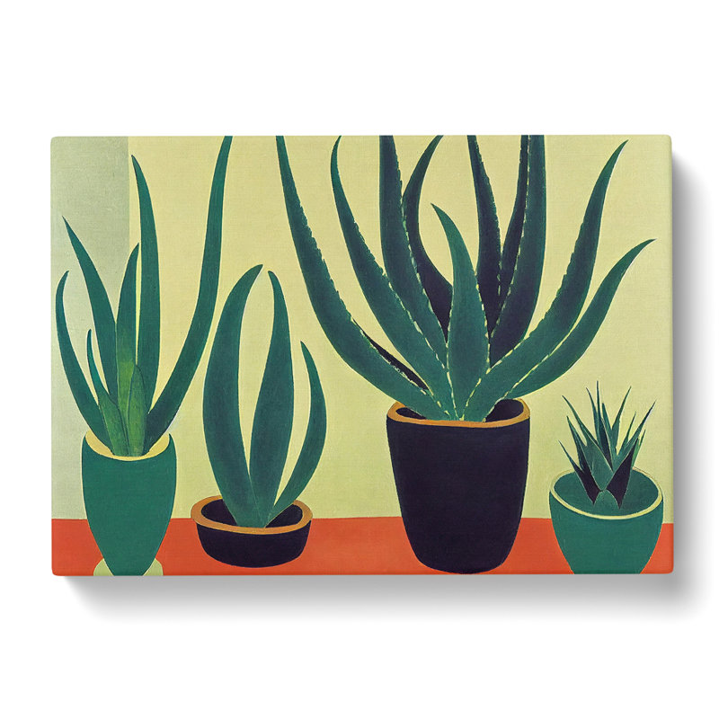 Aloe Vera Plants - Wrapped Canvas