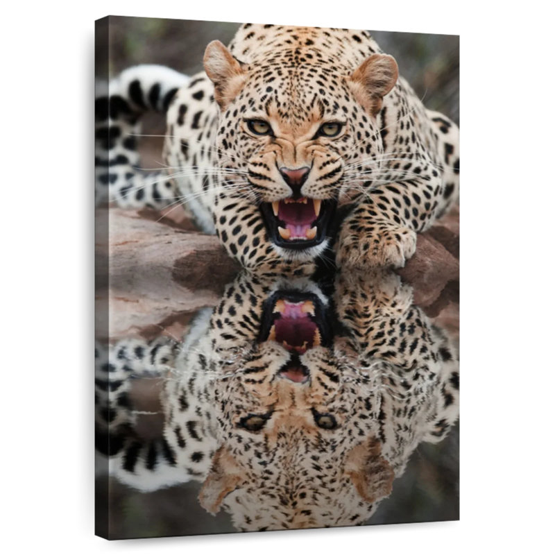Brampt Leopard Growling Reflection, 24" H x 16" W