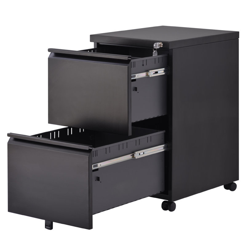 15'' Wide 2 -Drawer Mobile Steel File Cabinet, Black