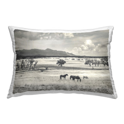 Horses Grazing Highland Decorative Printed Throw Pillow Design by Murray Bolesta