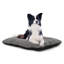 Lit lavable rectangulaire pour chien avec fond antidérapant doux et moelleux pour chien et chat, idéal pour les caisses et l'intérieur-1092283608