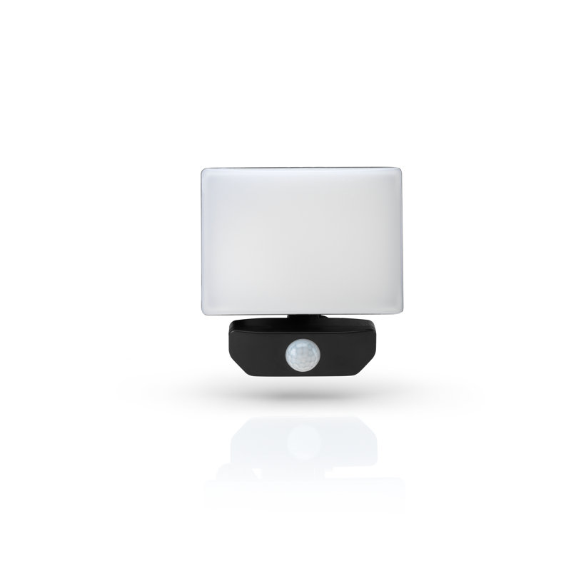 Richvale LED Flood Light with Pir