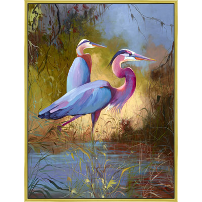 Birds