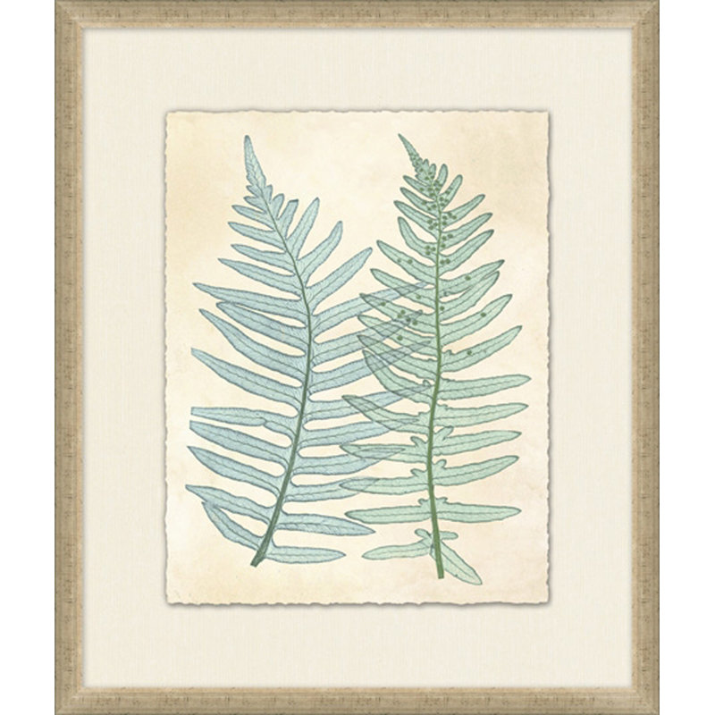Spring Ferns 2 Painting