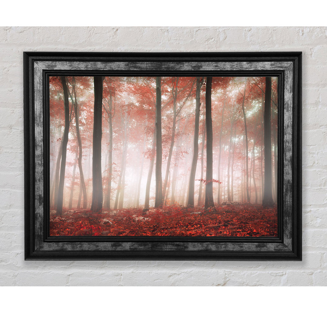 Red Misty Woods - Einzelner Bilderrahmen Kunstdrucke