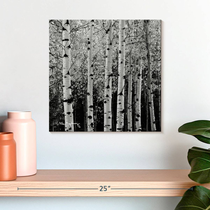 Alvord Aspens en automne BW, H 16 po x l 16 po