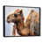 Black Floater Framed