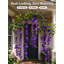 Vigne artificielle Wisteria Vine