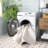 Granillo Machine Washable Performance Abstract Rug-2061871493