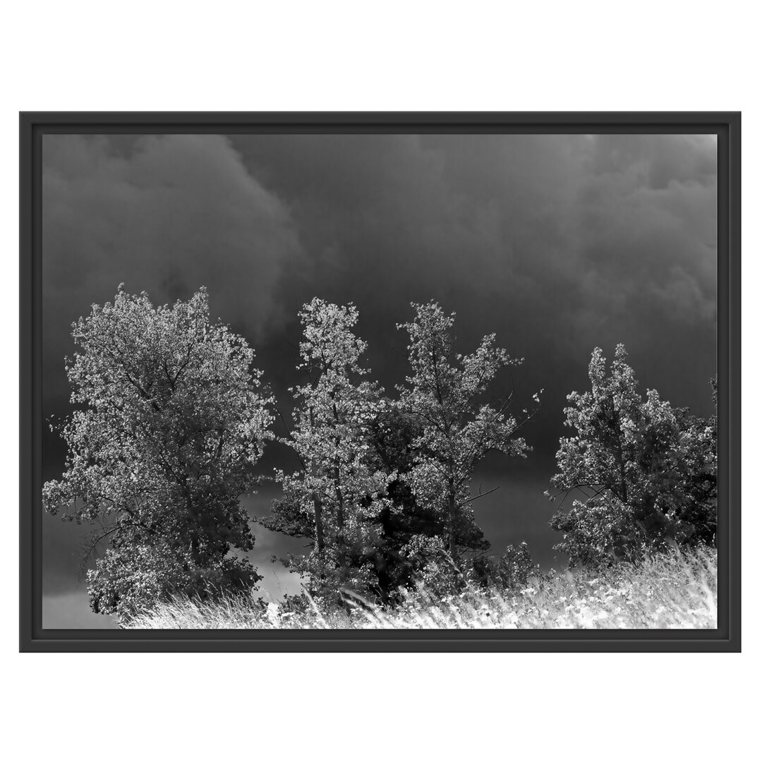 Gerahmtes Wandbild Sträucher vor Wolkenfront