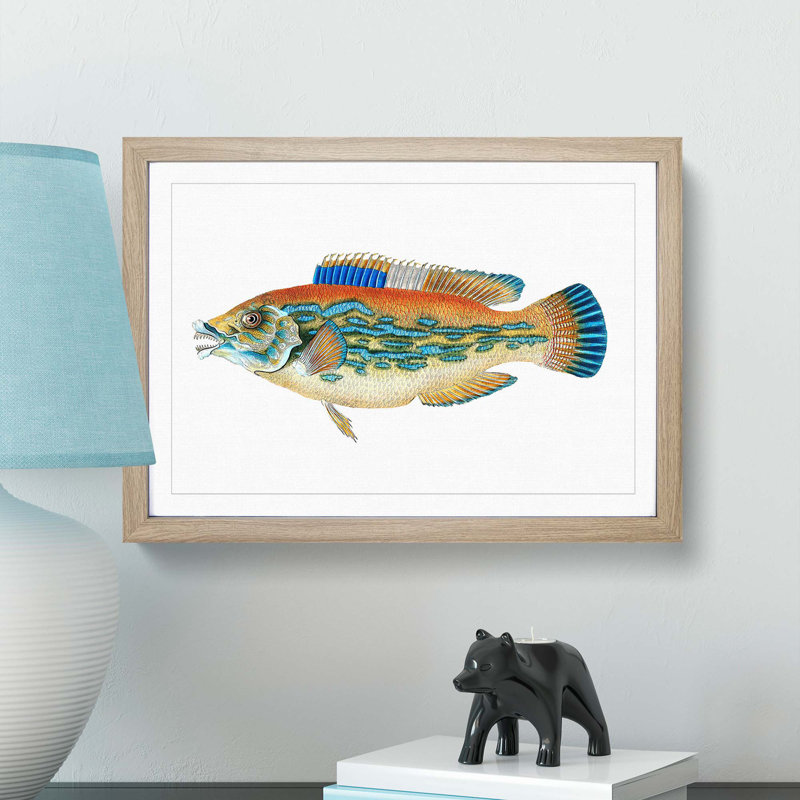 Striped Bass Fish by Edward Donovan - Picture Frame Art Print, 27cm H x 36cm W x 2cm D, Oak Framed