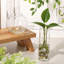 6 Pcs Glass Wall Vase Indoor Propagation Planters Hanging Suction Cup With Plastic Invisible Traceless Hanger Wall Mount Decor For Hydroponic Plant Flower Succulent Spring Summer Wedding Decor