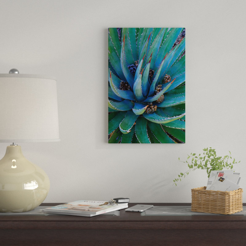 «Agave Plants with Pine Cones, North America» par Tim Fitzharris - Toile tendue, H 60 po x l 40po x P 1,5 po