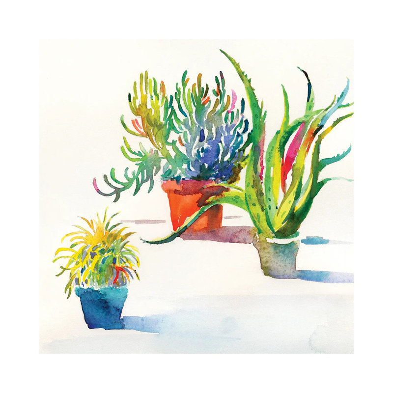 Succulent Trio II by Theresa Heidel - Wrapped Canvas Print, 30.48 cm H x 30.48 cm W