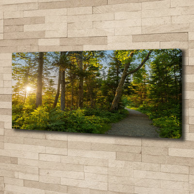 Forest 1 Piece Wall Art on Canvas