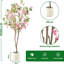 150cm Plant