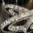 Ariabella 4-Light Mirror Chrome Modern Crystal LED Chandelier with Stainless Steel Frame-1731659888