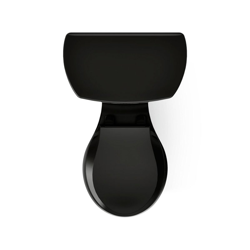 Wellworth® 1.28 GPF (Water Efficient) Round Two-Piece Toilet  (Seat Not Included), Black, Left-Hand