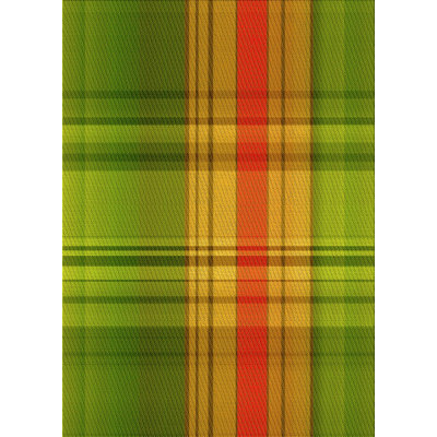 Plaid Indoor Rug