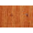 Orange Rust Gabbeh Oriental Area Rug 5x8