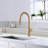 Novo Single Handle Pull Down Kitchen Faucet-123809211