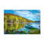 Art sur toile "Bachelor Celebrate Life Gallery Reflecting On Spring"-104111060