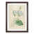 Walnut Framed selected