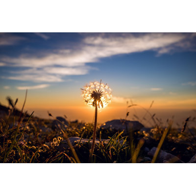 Souffle au coucher du soleil - Photographie sur toile tendue