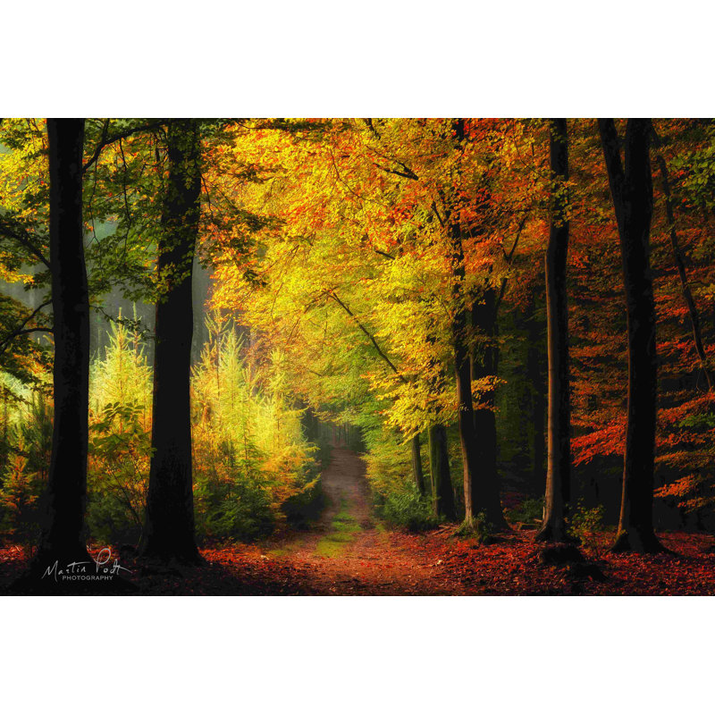 «Autumn Mood» par Martin Podt - Peinture, H 24 po x l 36 po, Non, Wrapped Canvas