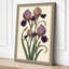 Iris Cluster Botanical - Wrapped Canvas-1093864051-1093864053