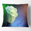 Magnifique rose peinte en blanc - coussin à imprimé floral-29598182-29598186