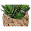 Plante artificielle