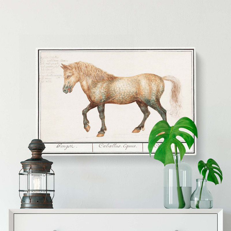 A Horse by A.B. De Boodt - Wrapped Canvas, 40cm H x 60cm W x 3cm D