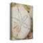 Dry Sand Dollar I, toile tendue avec châssis de qualité supérieure - prête à être accrochée-164061560