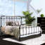 Structure de lit grand, transitionnel, finition noire antique, fabrication en métal, accents dorés brossés à la main, 7 broches sur, lit transitionnel thermolaqué pour chambre à coucher, broches doubles, décoration-129990348