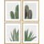 Green Cactus Snake Plant, reproduction encadrée de 4 pièces-90605216-90605218