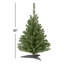 Arbre de Noël épinette-33349426