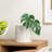 Adelya Table Vase 1-399118046