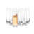 JoyJolt Milo Champage Flute Glass, 9.4oz